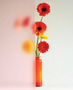 Плівка з краєвидом піскоструму матова для внутрішнього застосування 106 см