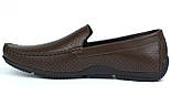 Коричневі літні шкіряні мокасини перфорація чоловіче взуття великих розмірів Rosso Avangard BS M4 PerfBrownie, фото 2