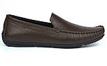 Коричневі літні шкіряні мокасини перфорація чоловіче взуття великих розмірів Rosso Avangard BS M4 PerfBrownie, фото 3