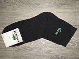 Чоловічі шкарпетки демісезонні Lacoste, розміру 41-45, якісні шкарпетки лакості, фото 5