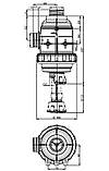 3162463 Всмоктуючий фільтр з різьбовим з'єднанням G 1 "1/2 з клапаном 316 серії 50 меж, фото 2