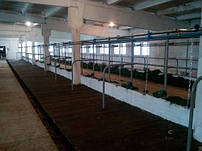 Молокопроводи