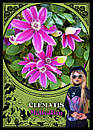 Flower Magic Oracle Cards/ Оракул Магія Квітів, фото 7