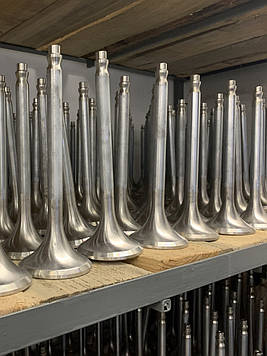 Куплю клапан впускний Д49.78.05