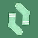 Шкарпетки SOX м'ятного кольору з білими смужками, фото 5