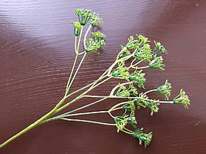 Гілки "Чесня" зелений 50 см 1 гілка