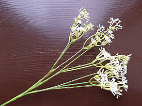 Гілки "Чесня" білий