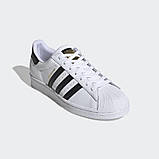 Чоловічі кросівки Adidas Originals Superstar (Артикул:EG4958), фото 3