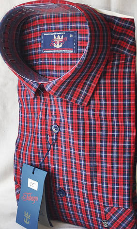 Сорочка чоловіча Jobago vk-0035 бордова в клітку класична бавовна з коротким рукавом, фото 2