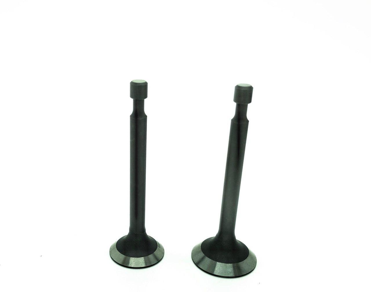 Клапан Впуска Выпуска 160V для Двигателя с Вертикальным Валом для ...