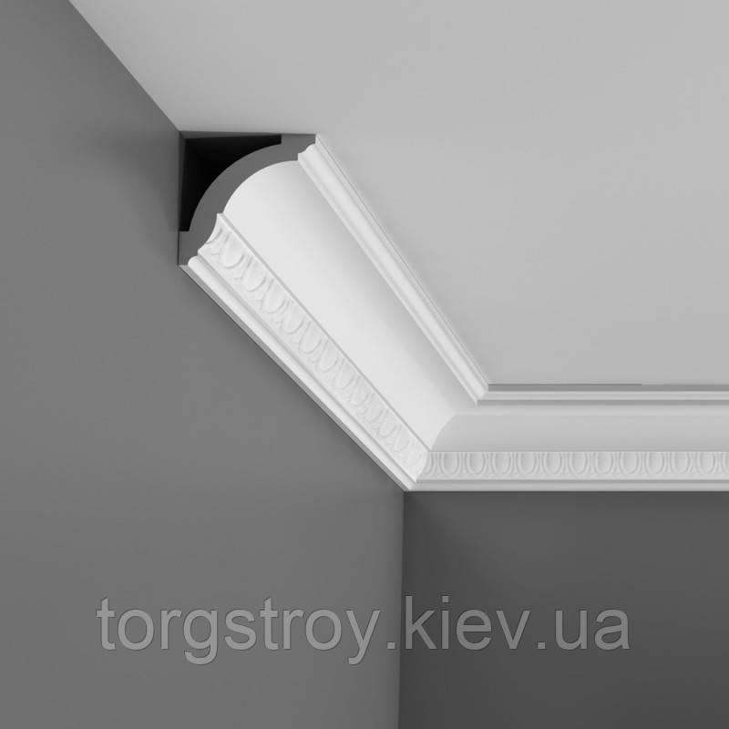 CX101 карниз Orac Axxent