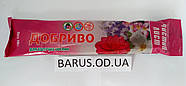 Добриво для квітучих рослин Чистий Лист 100 грамів, фото 2