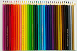 Набір кольорових олівців Faber-Castell 36 кольорів, фото 3