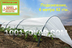 Парник "Пролісок" (Пролісок), 6 метрів 42 г/м² (Агро-теплиця)