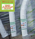 Парник "Пролісок", 8 метрів 60 г/м² (Агро-теплиця)., фото 5