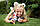 Лялька Енчантималс Зайчик Брі та вихованець Твіст FXM73 Enchantimals Bree Bunny Doll & Twist Figure, фото 7