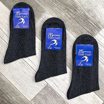 Шкарпетки чоловічі демісезонні гладкі бавовна Топ-Тап, м. Житомир, 27 розмір, темно-сірі, 424