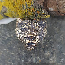 Хвиль кільце-стень-друк, фото 2