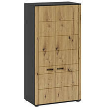 Шафа розпашна дводверна у вітальню/спальню з ДСП/МДФ Martin F Blonski