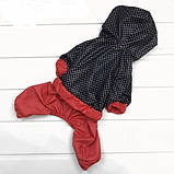 Дощовик комбінезон для собак "Горох", розмір 8., фото 2