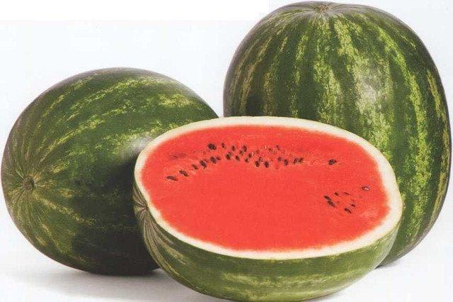 Насіння кавуна Талісман F1 5 шт., Nunhems