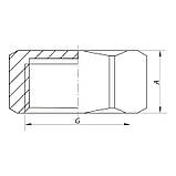 Різьбове з'єднання заглушка В 3/4" Koer KF.P08F (KR3094), фото 2