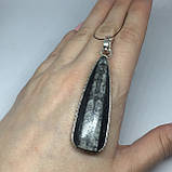 Ортоцерас скам'янілий кулон натурального скам'янілого ортоцераса Індія., фото 3