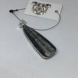 Ортоцерас скам'янілий кулон натурального скам'янілого ортоцераса Індія., фото 4