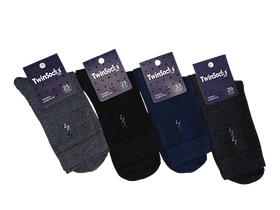Шкарпетки чоловічі класичні демісезонні Тм TwinSocks