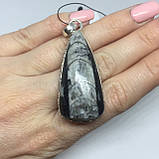 Ортоцерас скам'янілий кулон натурального скам'янілого ортоцераса Індія, фото 2