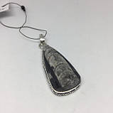 Ортоцерас скам'янілий кулон натурального скам'янілого ортоцераса Індія, фото 3