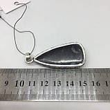 Ортоцерас скам'янілий кулон натурального скам'янілого ортоцераса Індія, фото 5