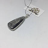 Ортоцерас скам'янілий кулон натурального скам'янілого ортоцераса Індія, фото 4