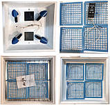 Інкубатор Насідка-72 (120) механічний, цифровий, сітка під курку та перепелку, 4 лампочки, фото 2