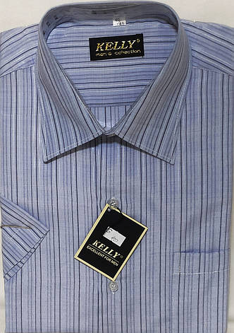 Сорочка чоловіча Kelli vk-0006 світло-сіра в смужку класична з коротким рукавом 40, фото 1