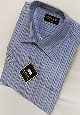 Сорочка чоловіча Kelli vk-0006 світло-сіра в смужку класична з коротким рукавом 40, фото 5