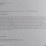 Про напої Все вийде Книга гастроному, фото 4