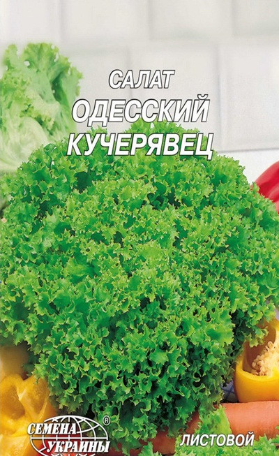 Насіння салату " Одеський Кучерявец, 10 р, "Насіння України", Україна