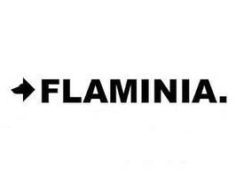 Кераміка FLAMINIA