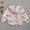 Вітровка "Пташки" для дівчинки. 100, 110 см, фото 2
