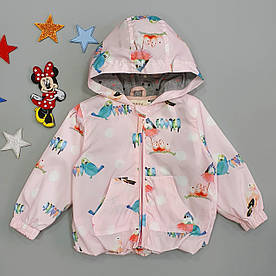 Вітровка "Пташки" для дівчинки. 100, 110 см