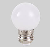 Лампа для гірлянди light BELT Е27 (1 Вт) колір тепло-білий, фото 2
