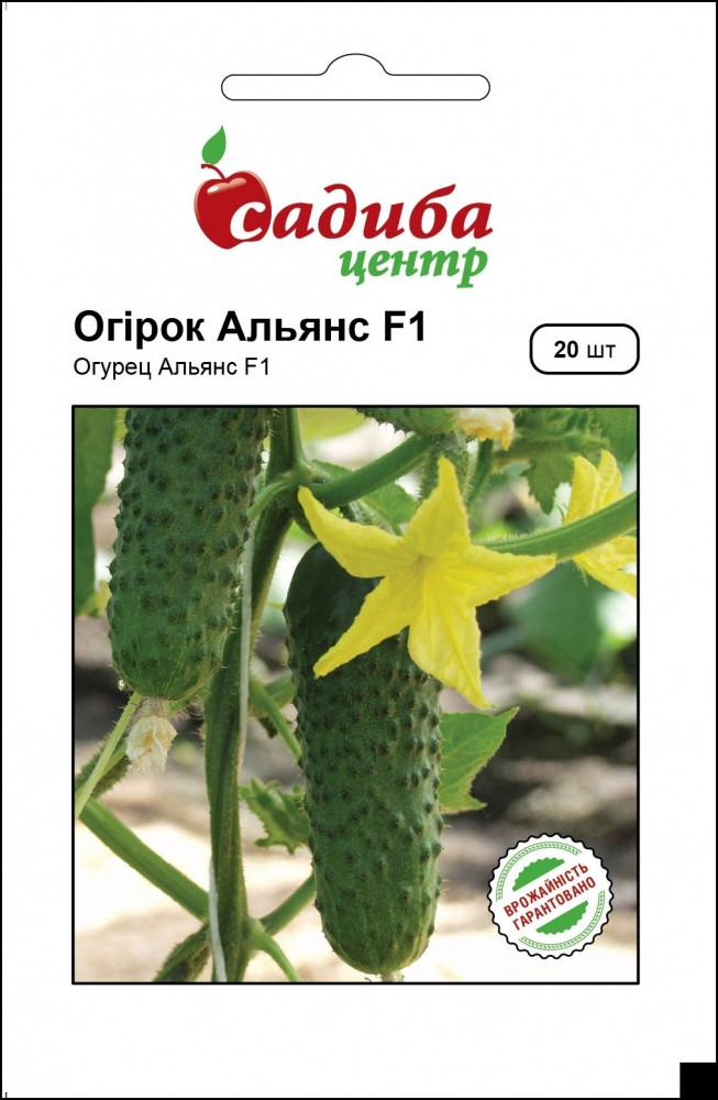 Насіння огірка Альянс F1, раннє стигле 20 шт., Bejo (Бейо), Голландія