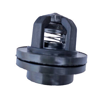 Клапан насоса Tolveri PU-2/120, Biardzki P120