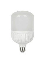 Лампа світлодіодна LED Bulb T100 30W E27 6500K 220V 2700L ICCD TNSy5000045