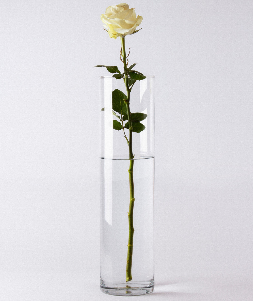 Ваза скляна "Циліндр"  h 480 d 120 мм, фото 1