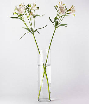 Ваза прозора "Циліндр" h 295 d 100