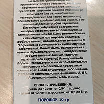 Гриб Лисичка порошок Фунгодоктор, 10 г, фото 5