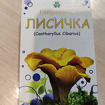 Гриб Лисичка порошок Фунгодоктор, 10 г, фото 3