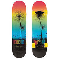 Скейтборд Skateboard Dandelion SK-1248-4 Multicolor